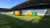 Sporthybrid R Hybird Turf for DSC Arminia Bielefeld
