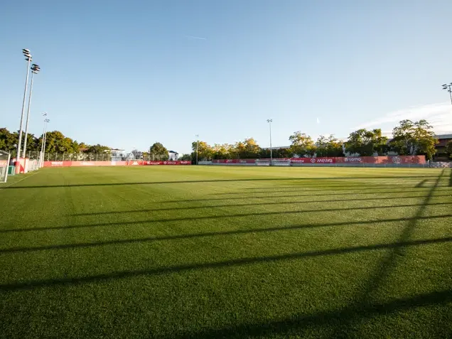 Vorschau Hybridrasen Mainz