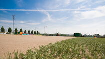 Hybrid Turf heiler Sporthybrid R Borussia Dortmund