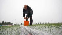 Hybrid Turf Sporthybrid R with Evergreen Turf Cover