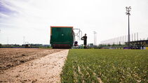 Hybrid Turf heiler Sporthybrid R Borussia Dortmund