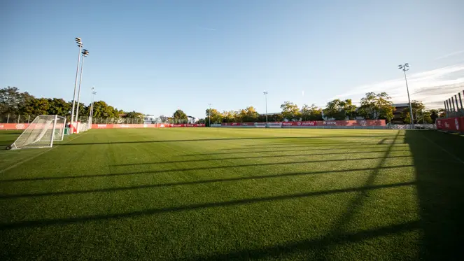 Hybridrasen FSV Mainz 05