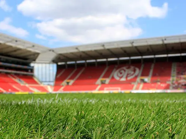 Mainz Mewa Arena