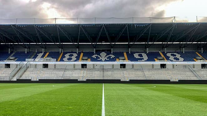 Naturrasen Darmstadt 98