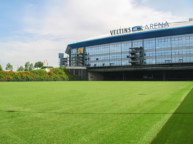Schalke 04 Veltins Arena Rasen