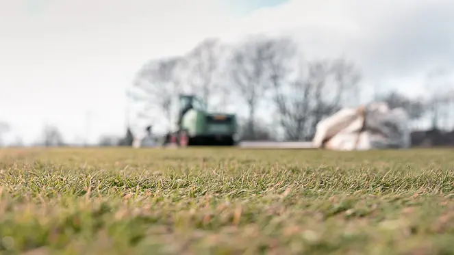 Naturrasen auf einem Fußballplatz. Im Hintergrund sind die Baumaschinen im Einsatz