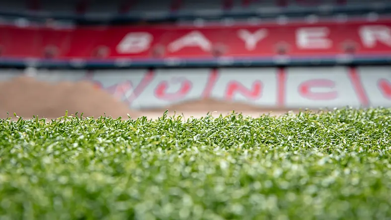 Kunstrasen in der Coachingzone der Allianz Arena des FC Bayern München.
