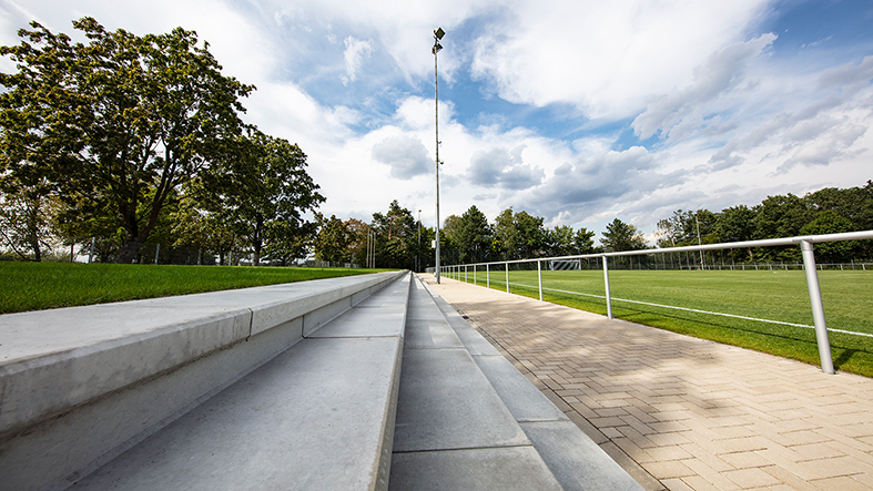 Arminia Windflöte Hybridrasen