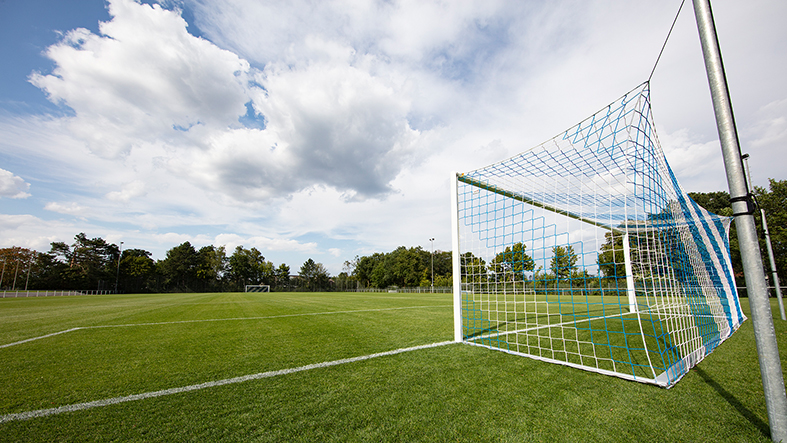 Arminia Windflöte Hybridrasen