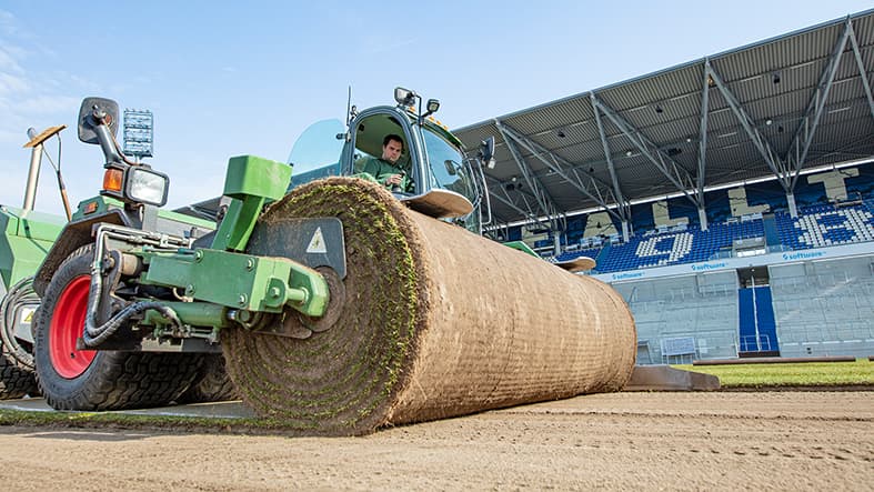 Rasen SV Darmstadt 98