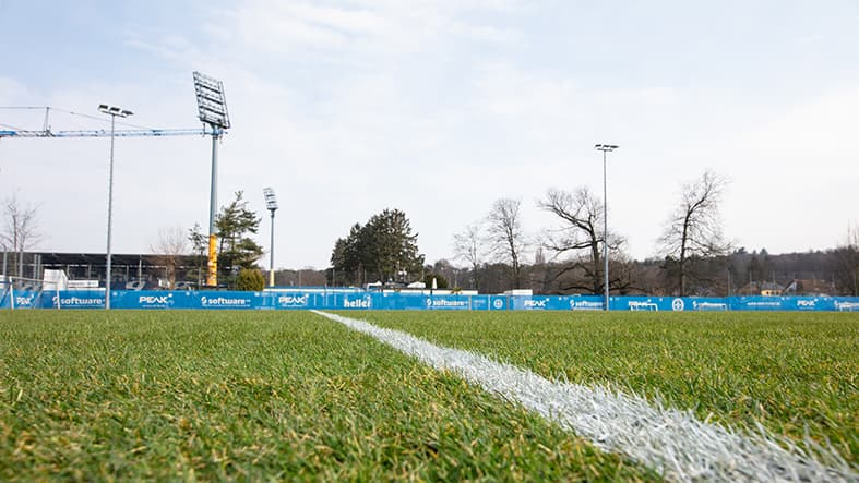 Rasen SV Darmstadt 98