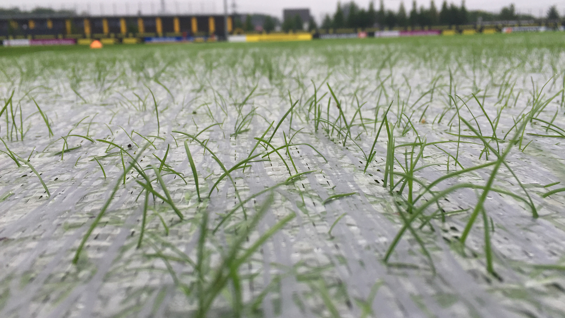 Evergreen Turf Cover Radiant Halme