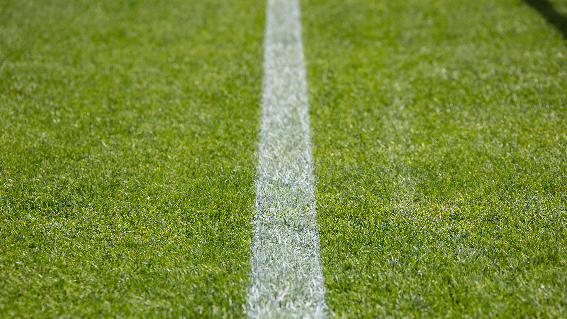 Sporthybrid Turf Windflöte